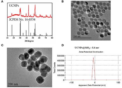 Construction of Multicolor Upconversion Nanotheranostic Agent for in-situ Cooperative Photodynamic Therapy for Deep-Seated Malignant Tumors